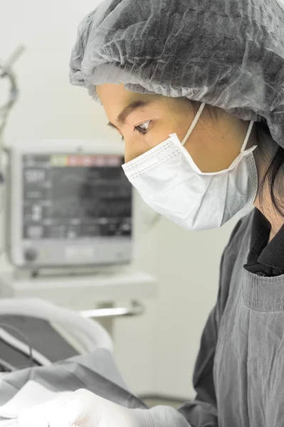 Veterinarian surgery in operation room — Stock Photo, Image