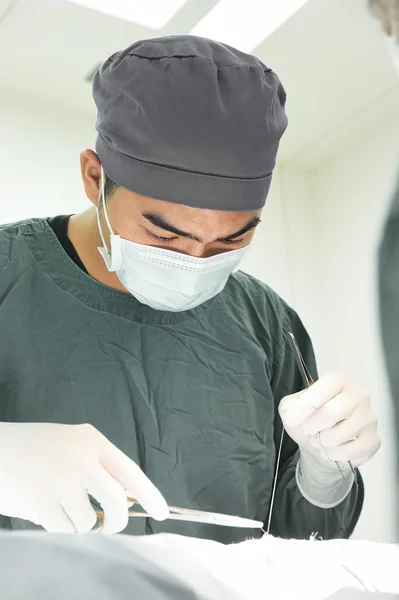 Veterinarian surgery in operation room — Stock Photo, Image