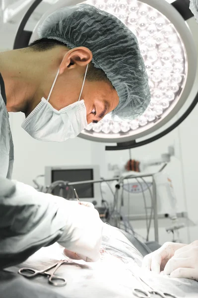 Veterinarian surgery in operation room — Stock Photo, Image