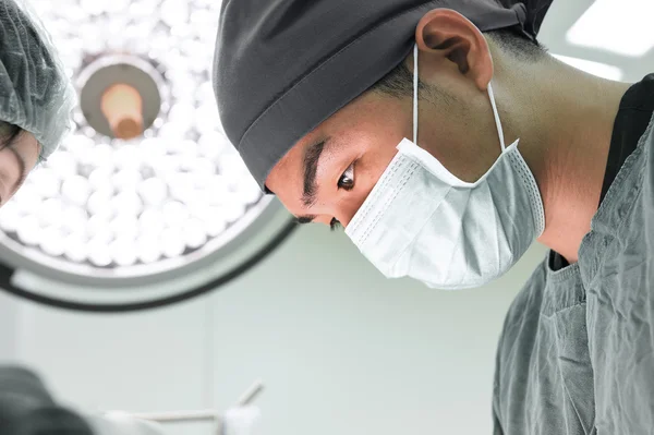 Ветеринарная хирургия в операционной — стоковое фото