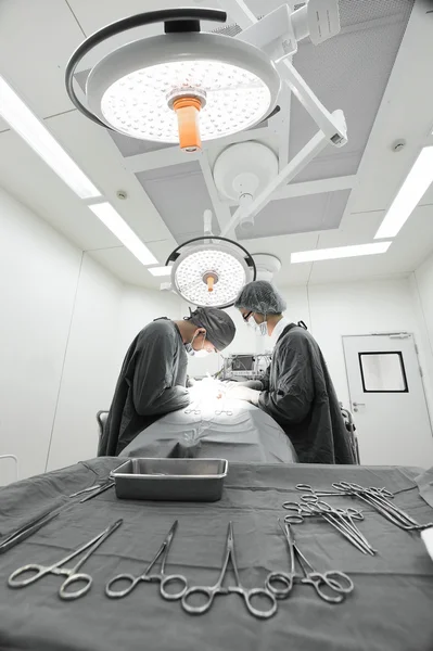 Dois cirurgiões veterinários na sala de operações — Fotografia de Stock