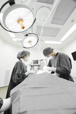 Ameliyathanede iki veteriner cerrah var.