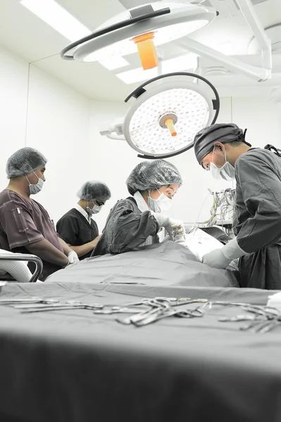 Groep van dierenarts chirurgie in operatie kamer — Stockfoto