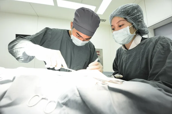 Two veterinarian surgeons in operating room — Stock Photo, Image