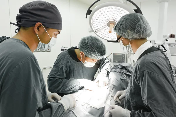 Groep van dierenarts chirurgie in operatie kamer — Stockfoto