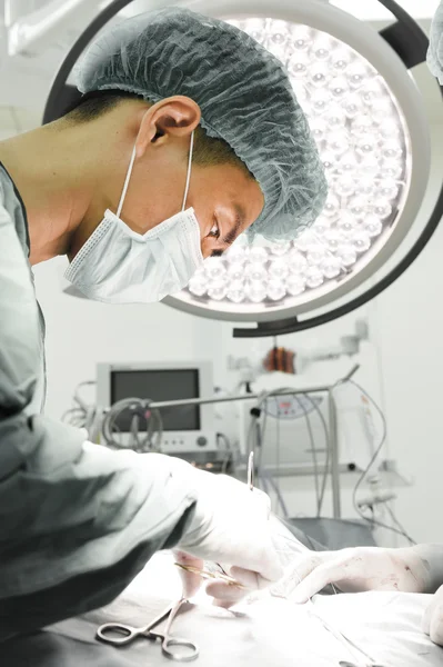 Veterinarian surgery in operation room — Stock Photo, Image