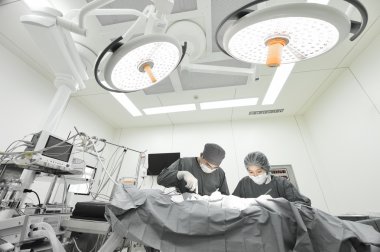 Ameliyathanede iki veteriner cerrah var. 