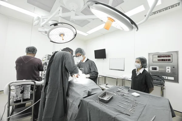 Groep van dierenarts chirurgie in operatie kamer — Stockfoto