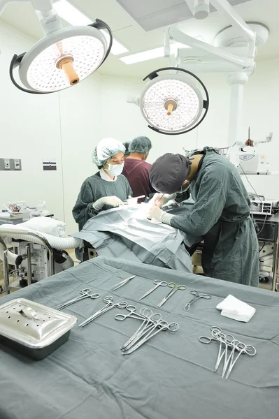 Groupe de chirurgie vétérinaire en salle d'opération — Photo