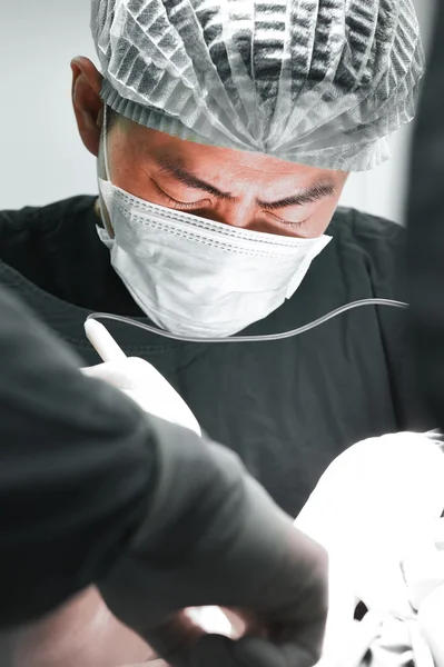 Veterinarian surgery in operation room — Stock Photo, Image