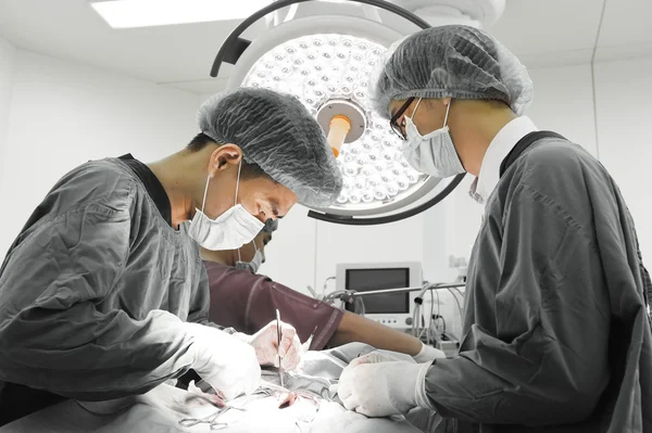 Grupo de cirurgia veterinária na sala de operação — Fotografia de Stock
