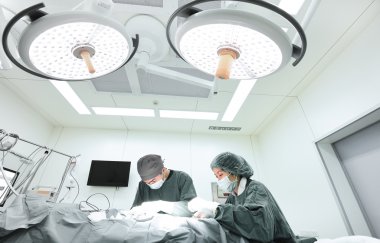 Ameliyathanede iki veteriner cerrah var. 