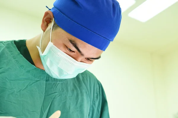 Cirugía veterinaria en sala de operaciones — Foto de Stock