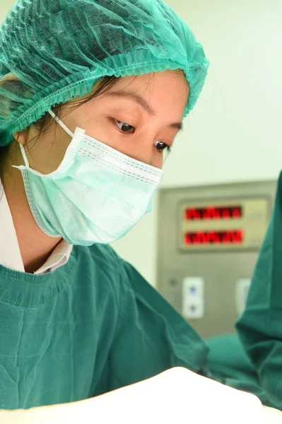 Veterinarian surgery in operation room — Stock Photo, Image