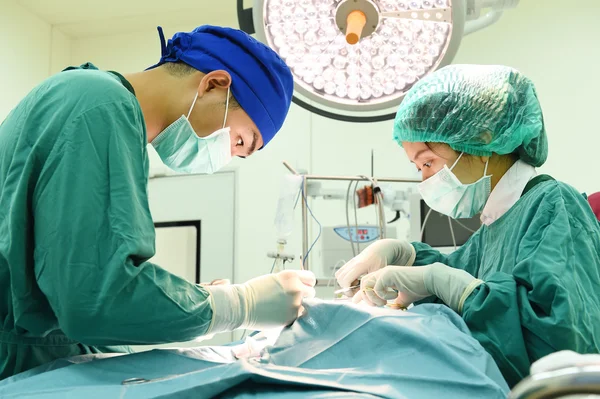 Dos veterinarios en quirófano — Foto de Stock