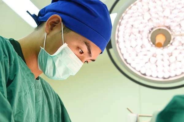 Cirugía veterinaria en sala de operaciones — Foto de Stock