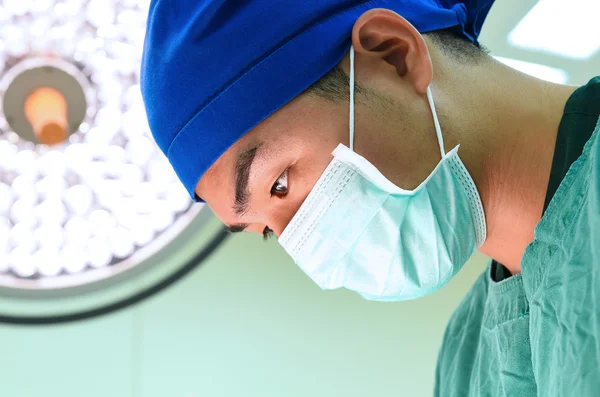 Cirurgia veterinária na sala de operação — Fotografia de Stock