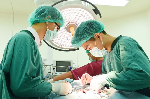 Grupo de cirugía veterinaria en quirófano — Foto de Stock