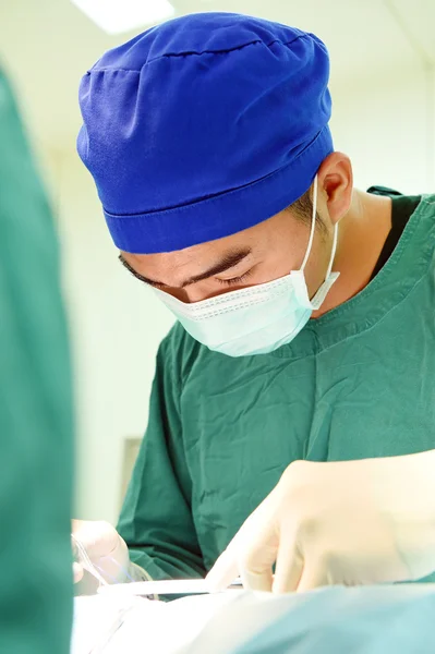 Veterinarian surgery in operation room — Stock Photo, Image