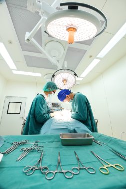 Ameliyathanede iki veteriner cerrah var. 