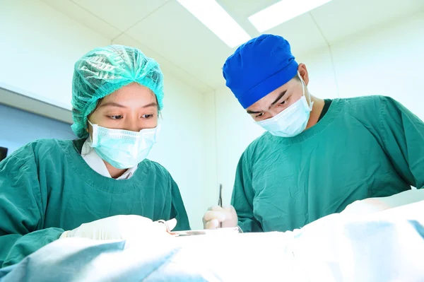 Two veterinarian surgeons in operating room — Stock Photo, Image