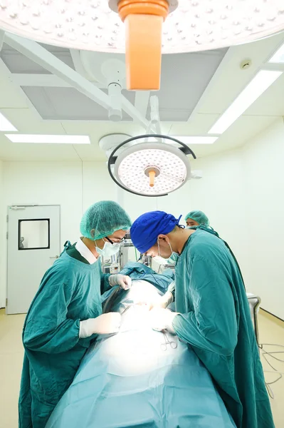 Ameliyathanede iki veteriner cerrah var. 