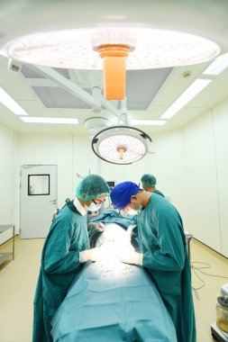 Ameliyathanede iki veteriner cerrah var. 