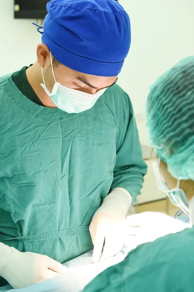 Veterinærkirurgi i operasjonsrommet – stockfoto