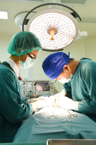 Dois cirurgiões veterinários na sala de operações — Fotografia de Stock