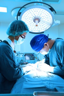 Ameliyathanede iki veteriner cerrah var. 