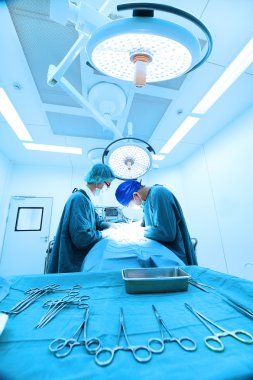 Ameliyathanede iki veteriner cerrah var. 