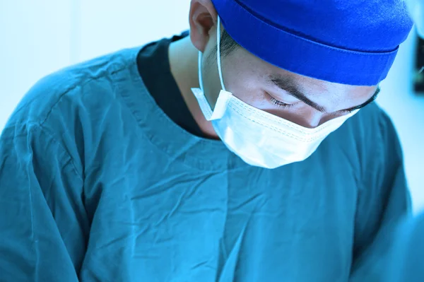 Veterinarian surgery in operation room — Stock Photo, Image