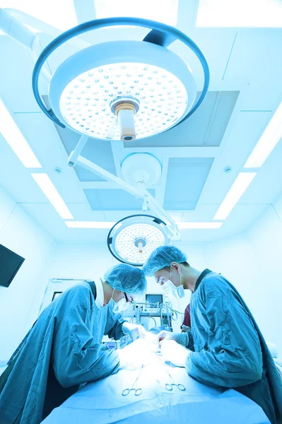 Dois cirurgiões veterinários na sala de operações — Fotografia de Stock