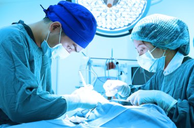 Ameliyathanede iki veteriner cerrah var. 