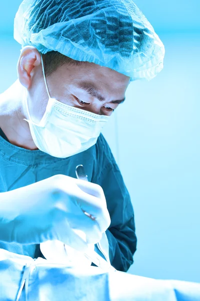 Cirugía veterinaria en sala de operaciones — Foto de Stock