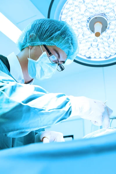 Cirugía veterinaria en sala de operaciones — Foto de Stock