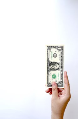Yandan bir dolar fatura 
