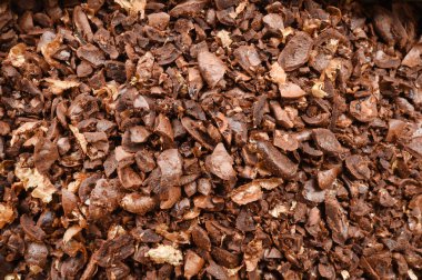 çekilmiş kahve yakın çekim 