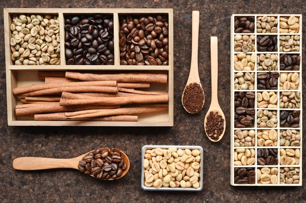 Grãos de café com café moído em colher de madeira e canela — Fotografia de Stock