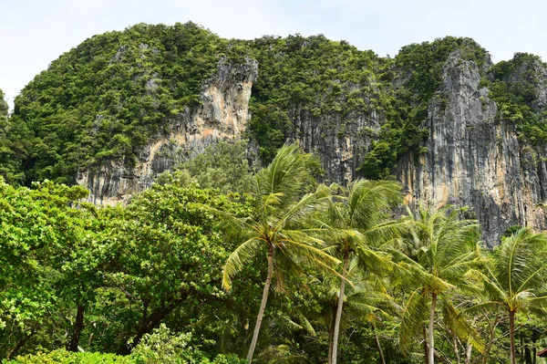 Paisaje Montañas Cubiertas Arbustos Verdes Árboles Naturaleza Tailandia —  Fotos de Stock