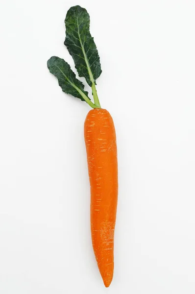 Close Fresh Carrot Isolated White Background — Stock Photo, Image