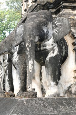 Fili heykele, wat Chiang adam, Tayland