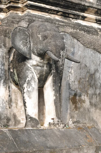 Statue d'éléphant, wat Chiang Man, Thaïlande — Photo