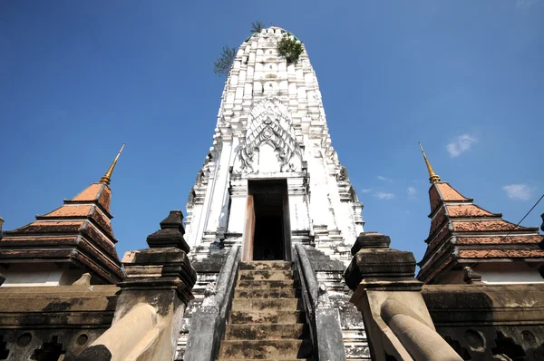 Wat Phutthaisawan,Thailand — Stock Photo, Image