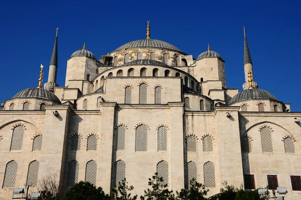 Moschea blu — Foto Stock