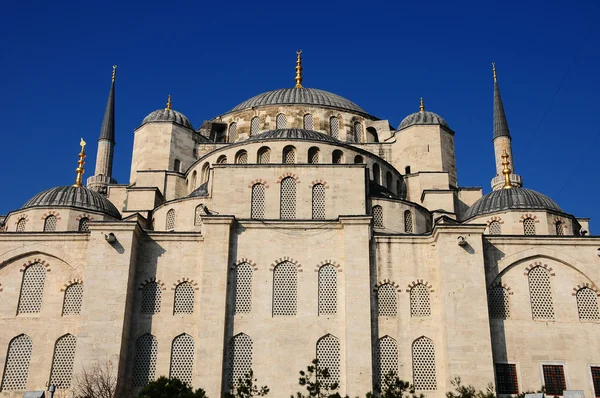 Mesquita azul — Fotografia de Stock