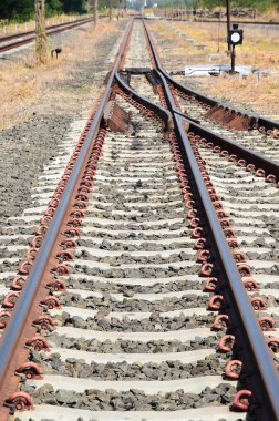 Tren yolu ya da tren rayları