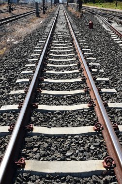 Tren yolu ya da tren rayları