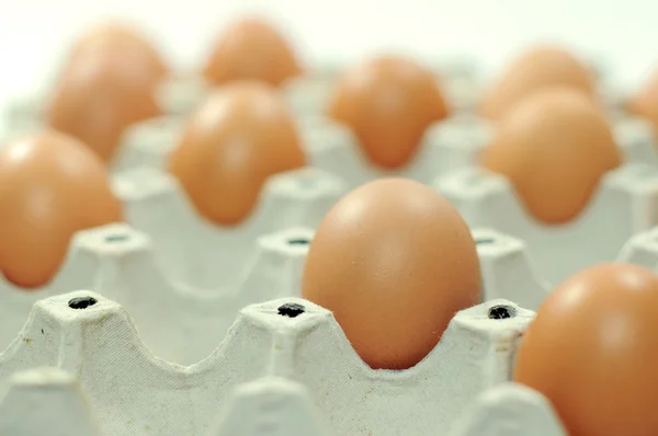 Ovos na embalagem — Fotografia de Stock