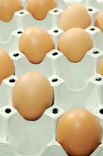 Telur dalam paket — Stok Foto